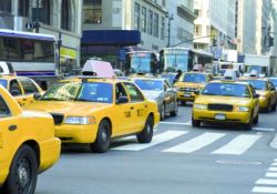 NY-web